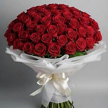 Букет 101 Красная роза Блэк Мэджик в Полотняный Завод