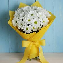 Букет цветов из:  Хризантемы в Полотняный Завод