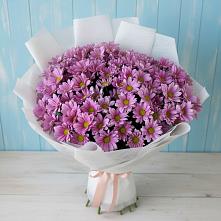 Букет цветов из:  Хризантемы в Полотняный Завод