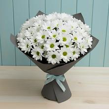 Букет цветов из:  Хризантемы в Полотняный Завод