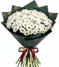 Букет цветов из:  Хризантемы в Полотняный Завод