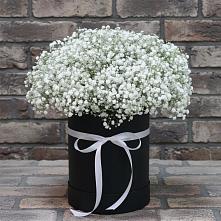 Цветочная композиция из Гипсофила в шляпной коробке в Полотняный Завод