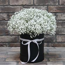 Цветочная композиция из Гипсофила в шляпной коробке в Полотняный Завод