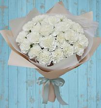 Букет цветов из:  Гвоздики в Полотняный Завод